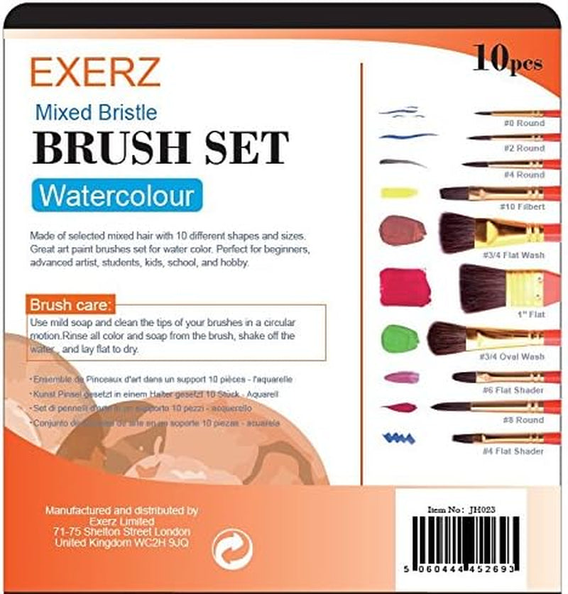 Artist Paint Brush Set – 10 Pcs Professional Mixed Bristle Brushes in a Travel Case/Perfect for Watercolour Acrylic Gouache - Watercolour