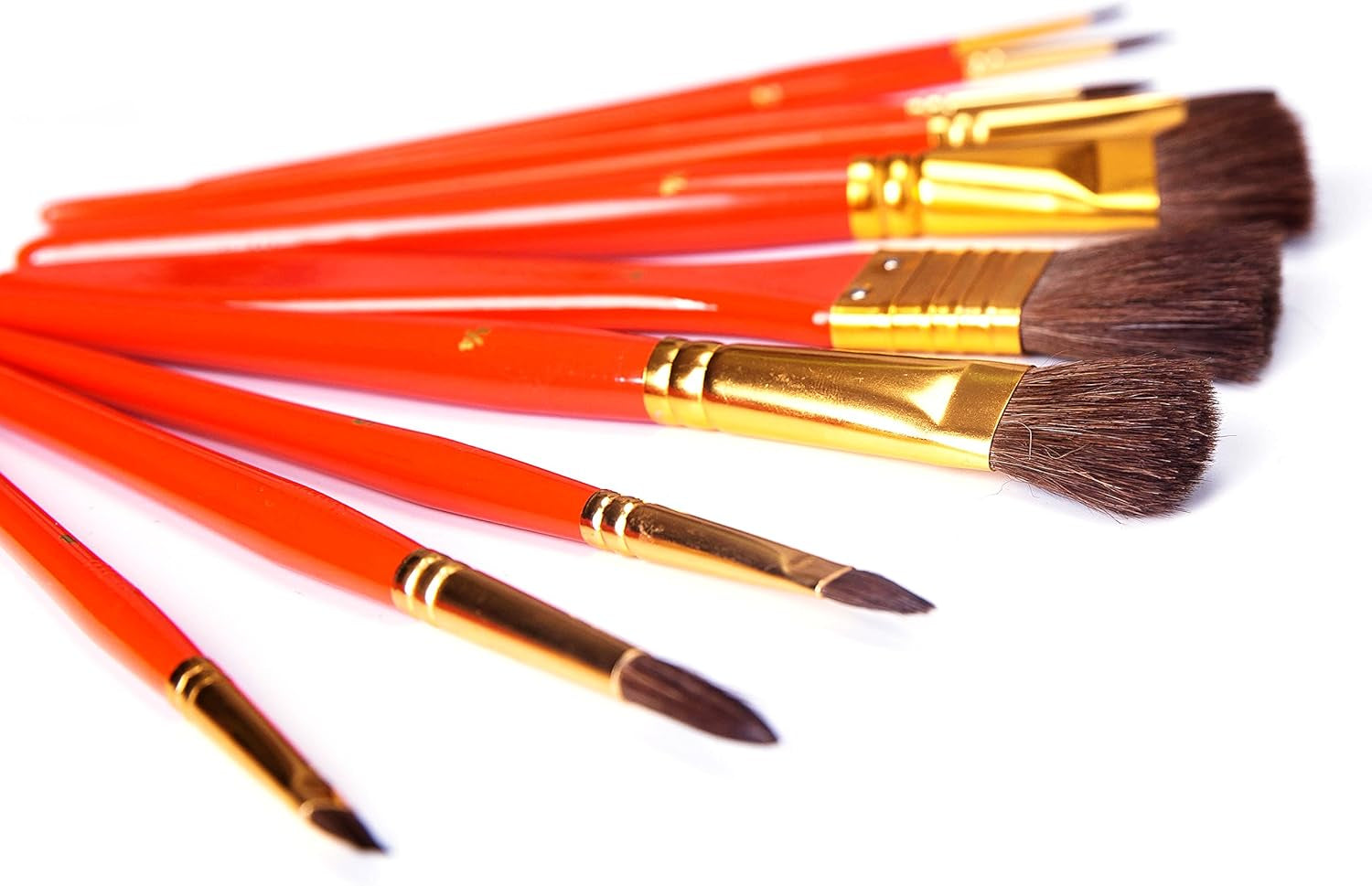 Artist Paint Brush Set – 10 Pcs Professional Mixed Bristle Brushes in a Travel Case/Perfect for Watercolour Acrylic Gouache - Watercolour