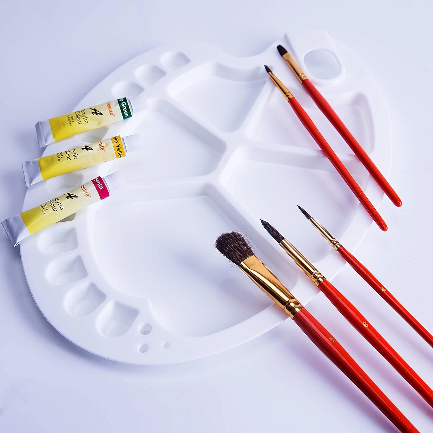 Artist Paint Brush Set – 10 Pcs Professional Mixed Bristle Brushes in a Travel Case/Perfect for Watercolour Acrylic Gouache - Watercolour