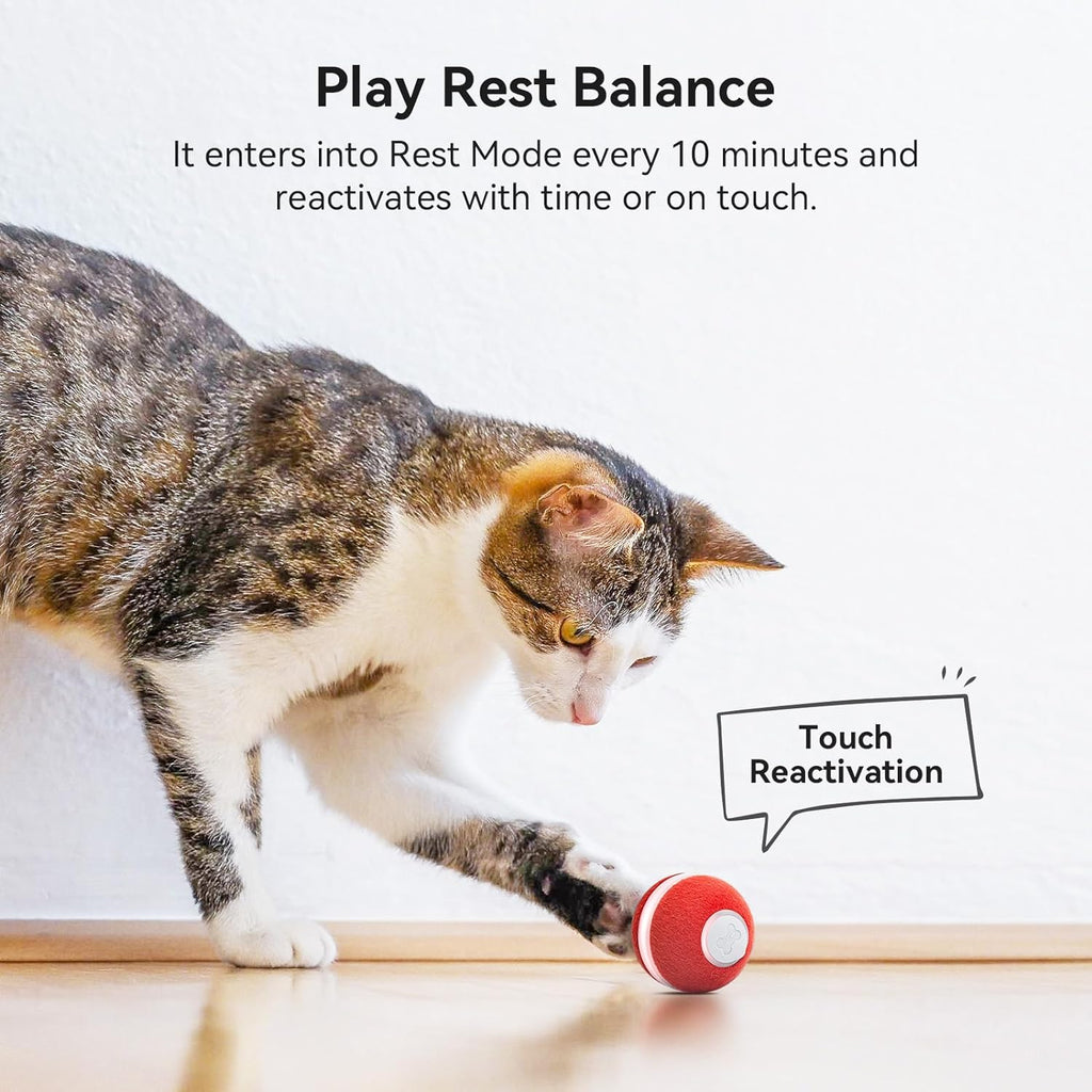 Interactive Cat Ball Toy, Electric Self Rolling Ball for Indoor Cat Kitten, 3 Modes with LED Lights, Red