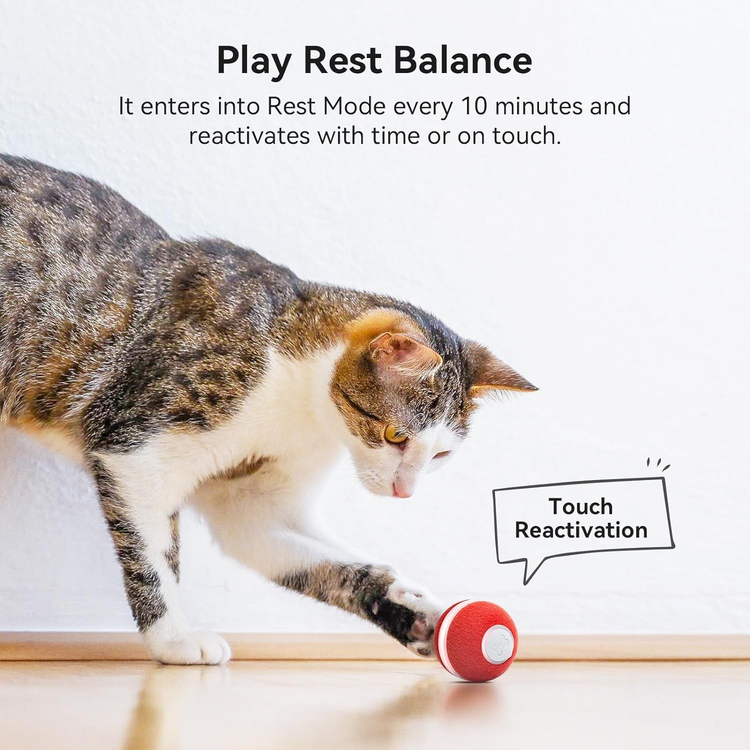 Interactive Cat Ball Toy, Electric Self Rolling Ball for Indoor Cat Kitten, 3 Modes with LED Lights, Red