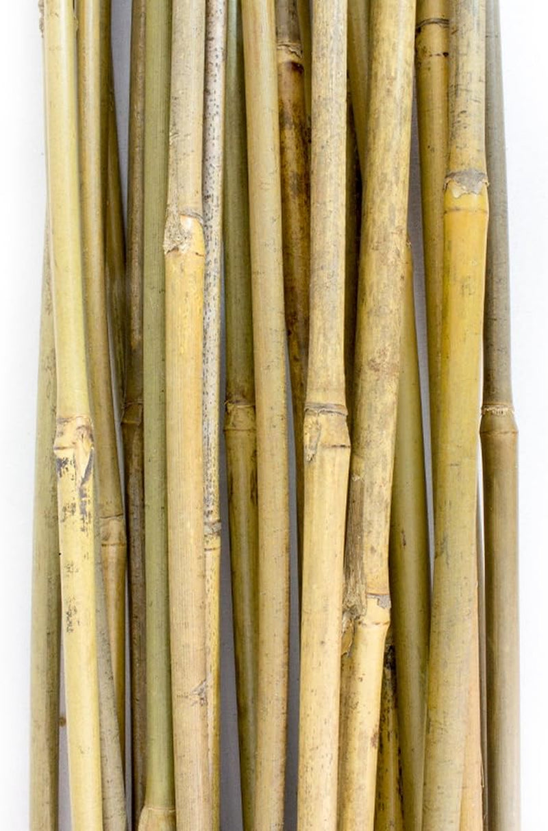 10-480-060 4 Ft Bamboo Stakes - Beige (Pack of 25)