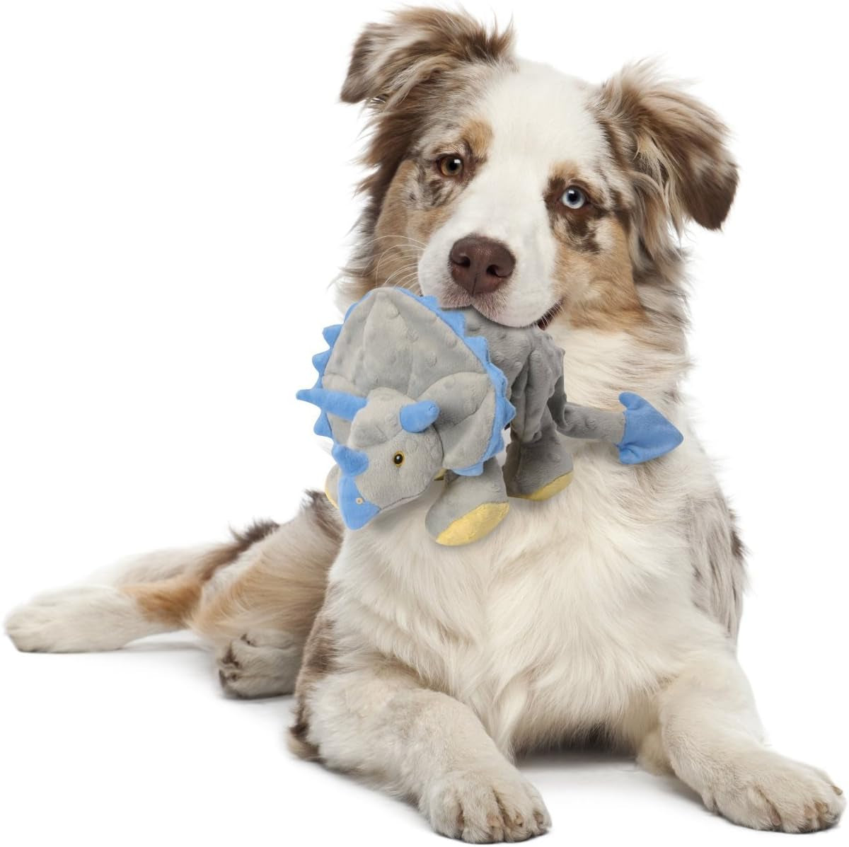 Dinos Frills Squeaky Plush Dog Toy, Chew Gdrgdgrfg