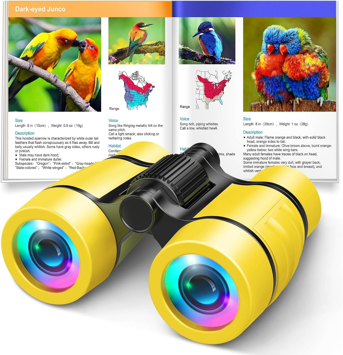 Toys for 3-7 Year Old Girl Boy:  Bird Watching Binoculars for Kids Ages 3 4 5 6 7 Year Old Girls Boys outside Learning Toy for Kid Preschool Gift Toddler Binoculars Toy Stuffers