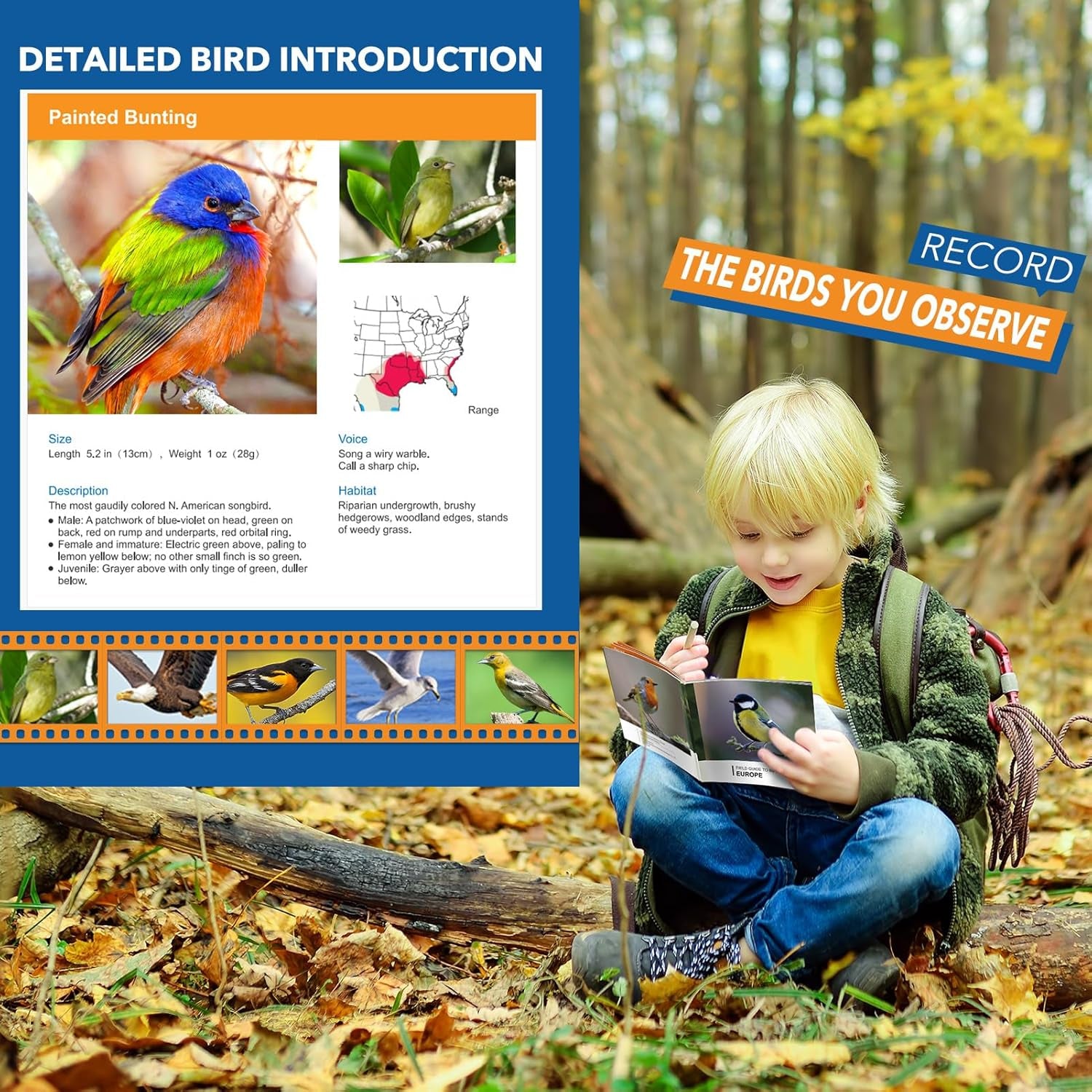 Toys for 3-7 Year Old Girl Boy:  Bird Watching Binoculars for Kids Ages 3 4 5 6 7 Year Old Girls Boys outside Learning Toy for Kid Preschool Gift Toddler Binoculars Toy Stuffers