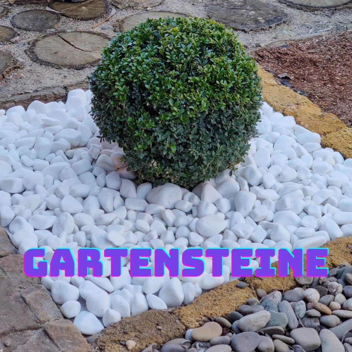 Small Stones for Garden Plant Pots & Painting Pebbles White Natural Rock for Paint Pebble Large Rocks Marble Gravel to Decorative Stone Aquarium Decor