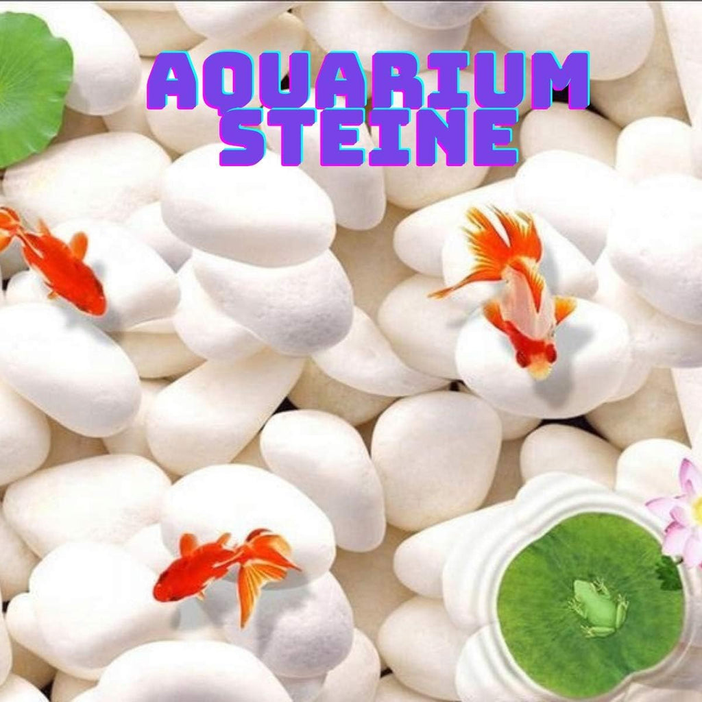 Small Stones for Garden Plant Pots & Painting Pebbles White Natural Rock for Paint Pebble Large Rocks Marble Gravel to Decorative Stone Aquarium Decor