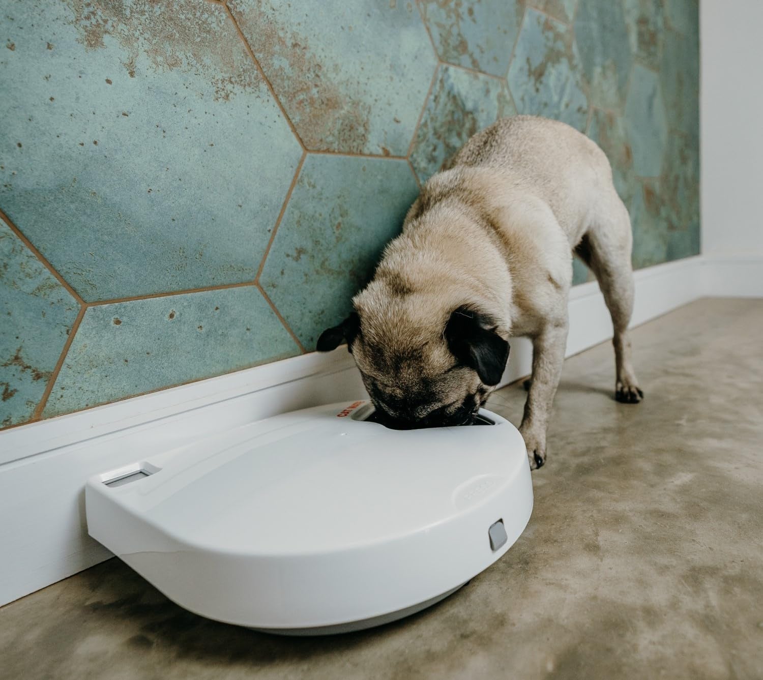 C500 Automatic 5 Bowl Pet Feeder with Digital Timer for Wet or Dry Pet Food, for Cats and Small Dogs, 5 Meals up to 330G Each, with Twin Ice Packs for Food Freshness , White