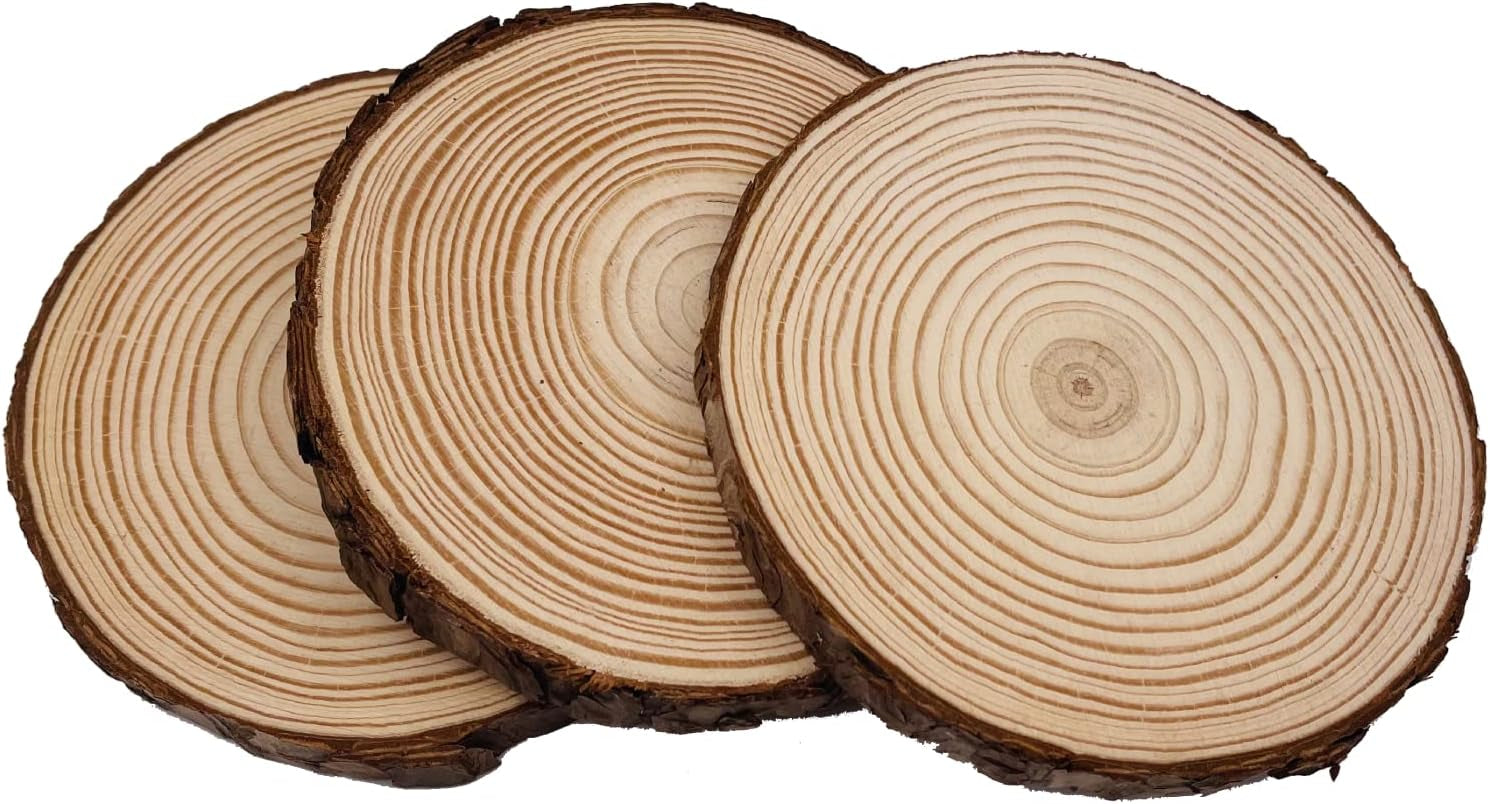 Unfinished Natural with Tree Bark Wood Slices 9 Pcs 13-14 Cm Disc Coasters Wood Coaster Pieces Craft Wood Kit Circles Crafts Christmas Ornaments DIY Crafts with Bark for Crafts Rustic Wedding