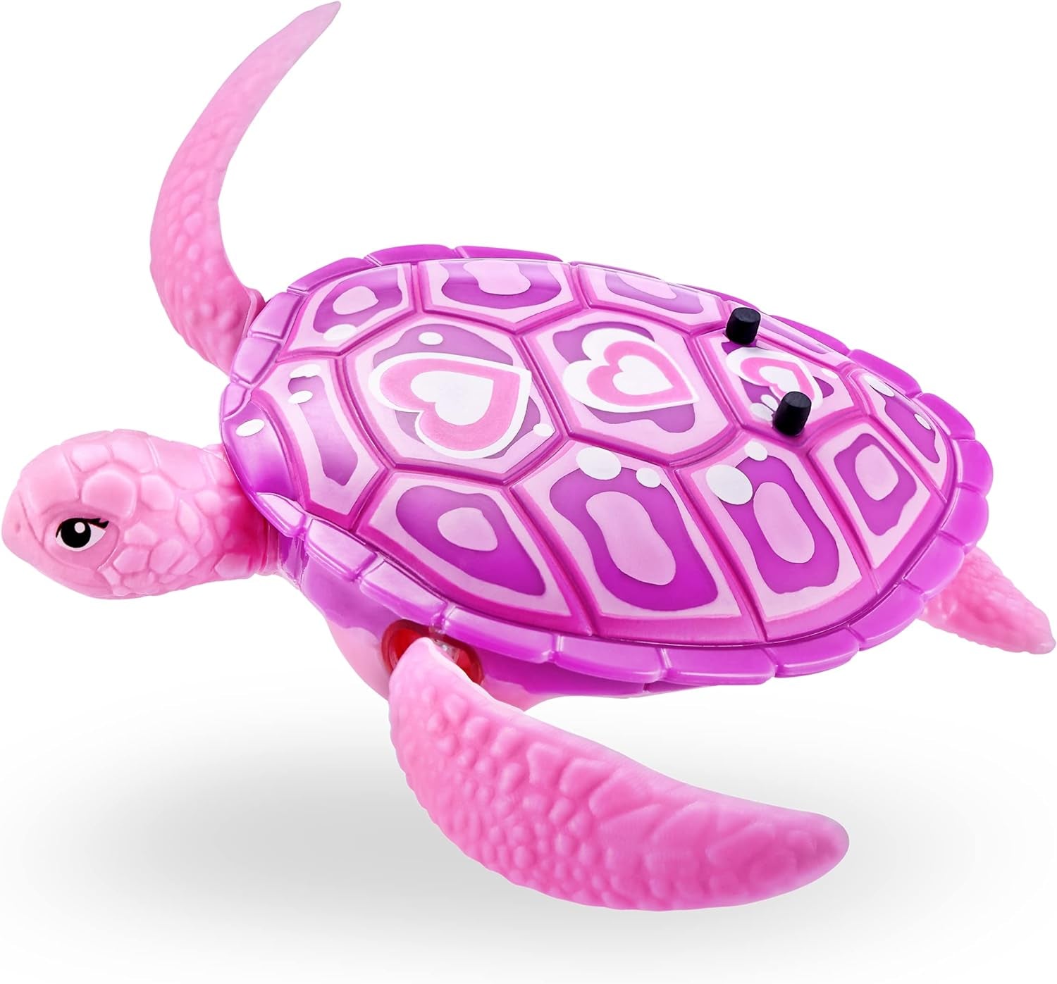 Robo Turtle Robotic Swimming Turtle (Orange + Blue) by  Water Activated, Comes with Batteries, Amazon Exclusive (2 Pack)