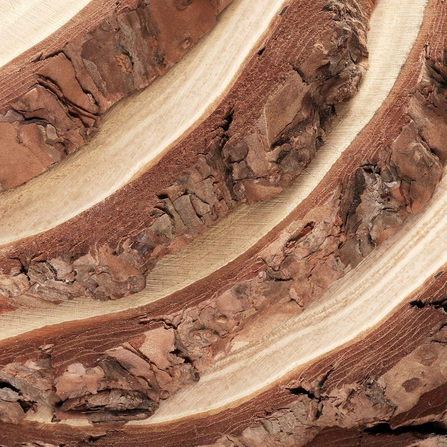 6 Piece Natural Wood Slices, 23-25 Cm Unfinished Wooden Circles with Bark round Blank Wooden Slices Wood Discs for DIY Crafts, Christmas Ornaments and Wedding Decorations