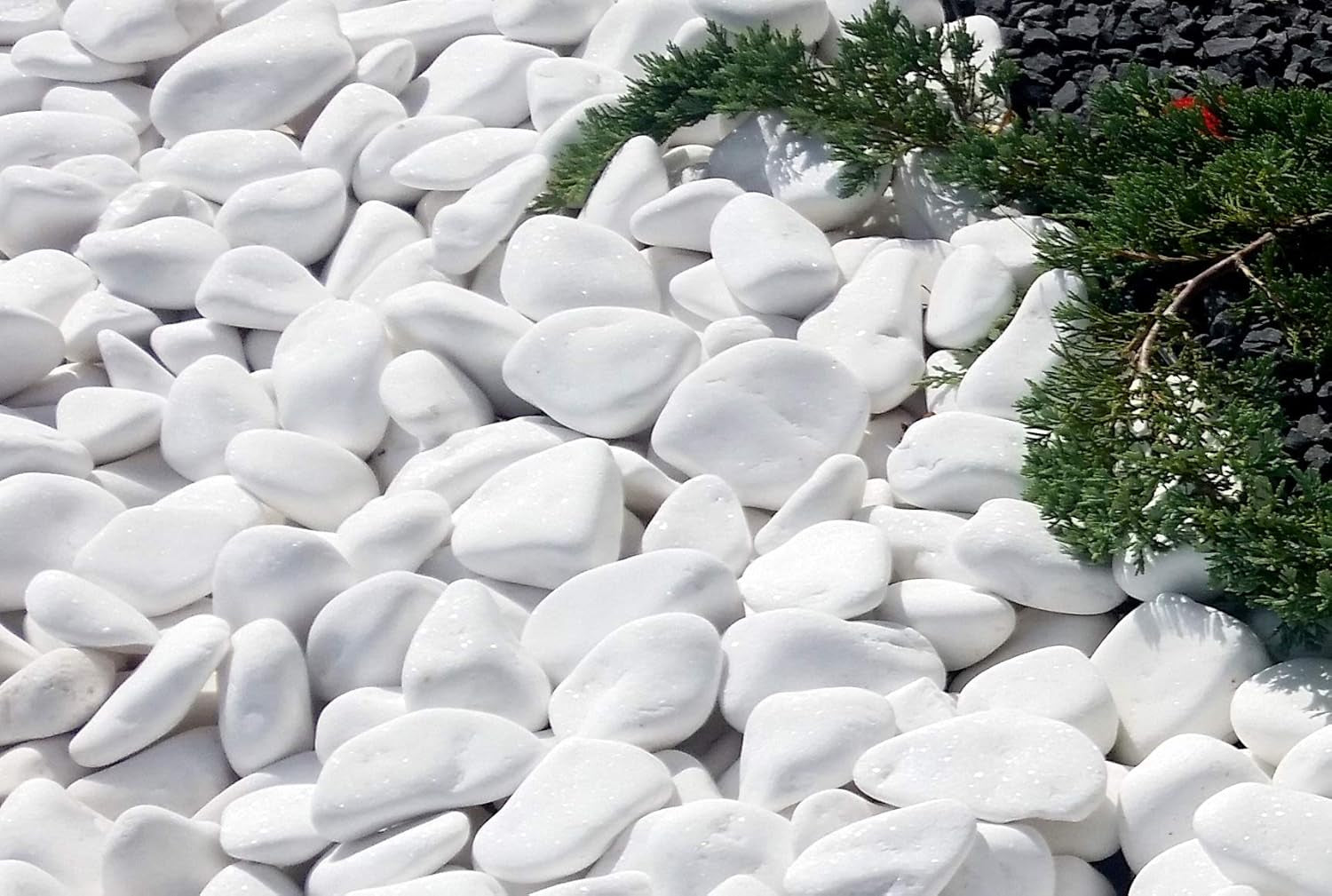 Small Stones for Garden Plant Pots & Painting Pebbles White Natural Rock for Paint Pebble Large Rocks Marble Gravel to Decorative Stone Aquarium Decor