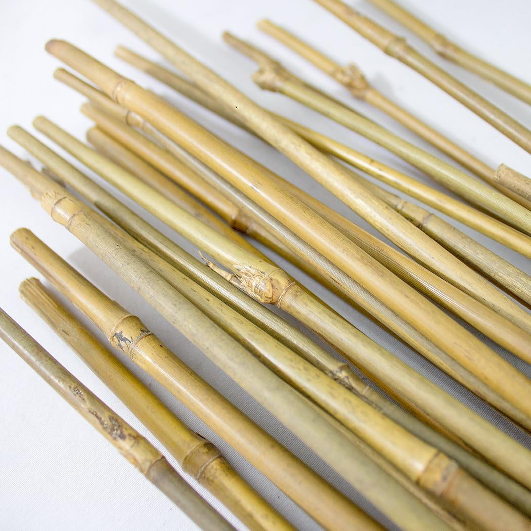 10-480-060 4 Ft Bamboo Stakes - Beige (Pack of 25)