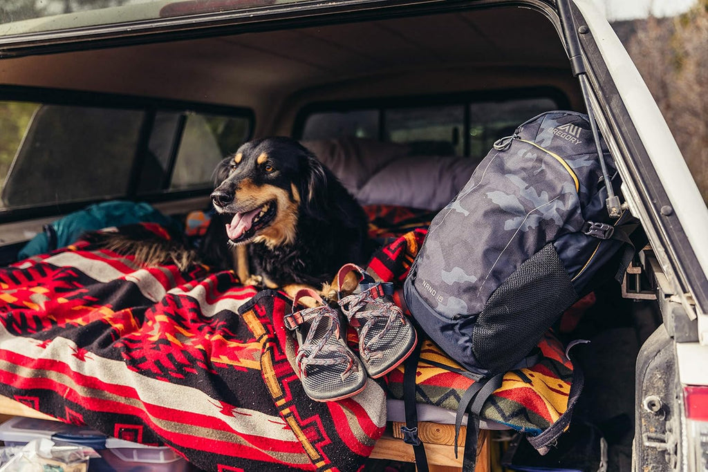 Mountain Products Nano 16 Everyday Outdoor Backpack, Bordeaux Reflective, One Size